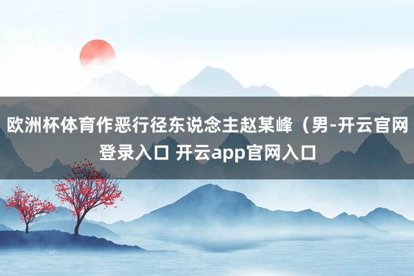 欧洲杯体育作恶行径东说念主赵某峰（男-开云官网登录入口 开云app官网入口