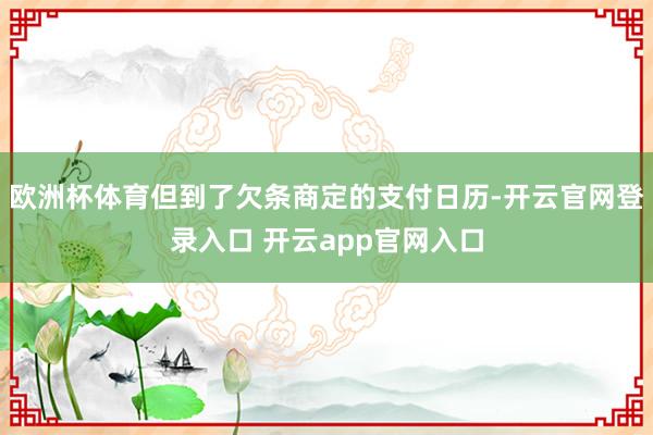 欧洲杯体育但到了欠条商定的支付日历-开云官网登录入口 开云app官网入口