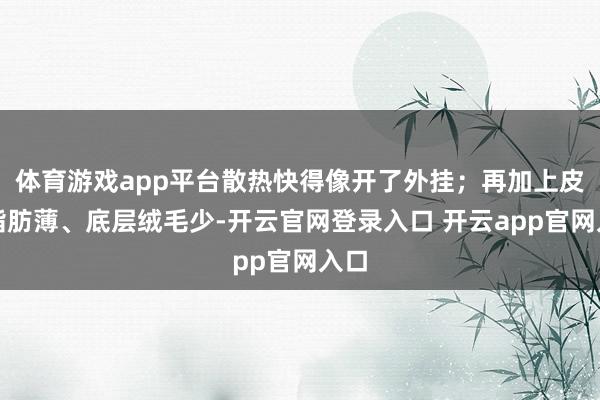 体育游戏app平台散热快得像开了外挂；再加上皮下脂肪薄、底层绒毛少-开云官网登录入口 开云app官网入口
