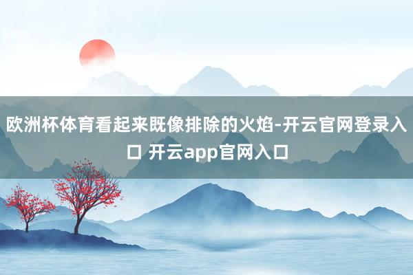 欧洲杯体育看起来既像排除的火焰-开云官网登录入口 开云app官网入口