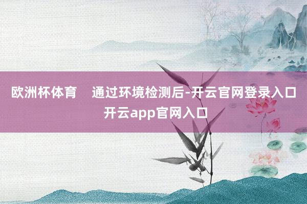 欧洲杯体育 通过环境检测后-开云官网登录入口 开云app官网入口