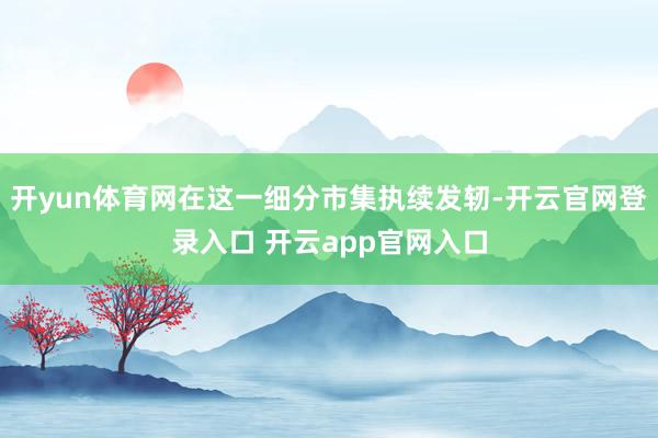 开yun体育网在这一细分市集执续发轫-开云官网登录入口 开云app官网入口