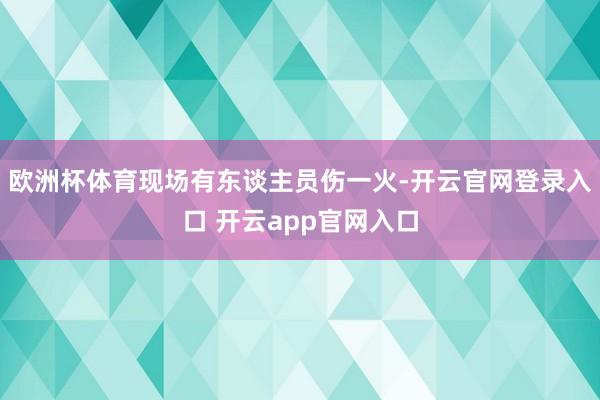欧洲杯体育现场有东谈主员伤一火-开云官网登录入口 开云app官网入口
