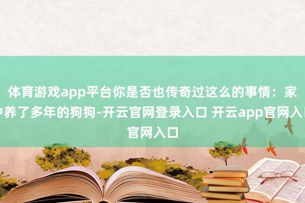 体育游戏app平台你是否也传奇过这么的事情：家中养了多年的狗狗-开云官网登录入口 开云app官网入口
