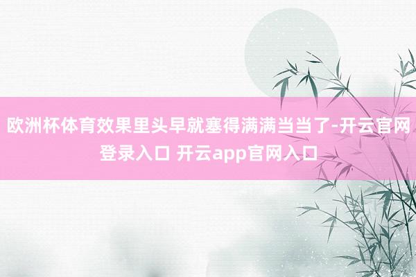 欧洲杯体育效果里头早就塞得满满当当了-开云官网登录入口 开云app官网入口