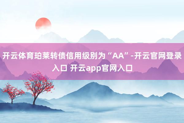 开云体育珀莱转债信用级别为“AA”-开云官网登录入口 开云app官网入口