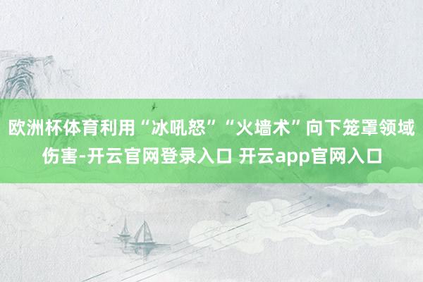 欧洲杯体育利用“冰吼怒”“火墙术”向下笼罩领域伤害-开云官网登录入口 开云app官网入口