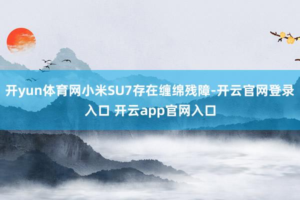 开yun体育网小米SU7存在缠绵残障-开云官网登录入口 开云app官网入口
