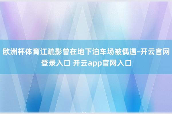欧洲杯体育江疏影曾在地下泊车场被偶遇-开云官网登录入口 开云app官网入口